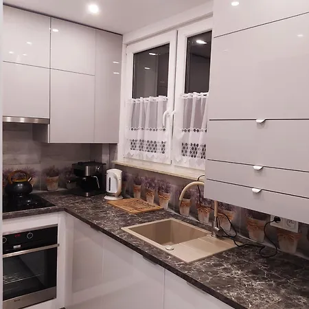 Centrum, 3,8km Do Starowki Gdanska Apartament *